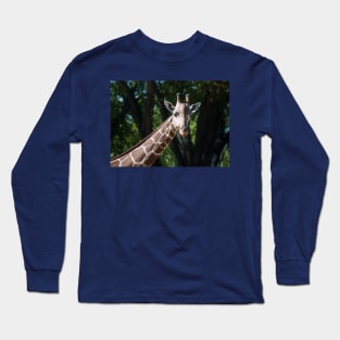 In the Sunlight Long Sleeve T-Shirt